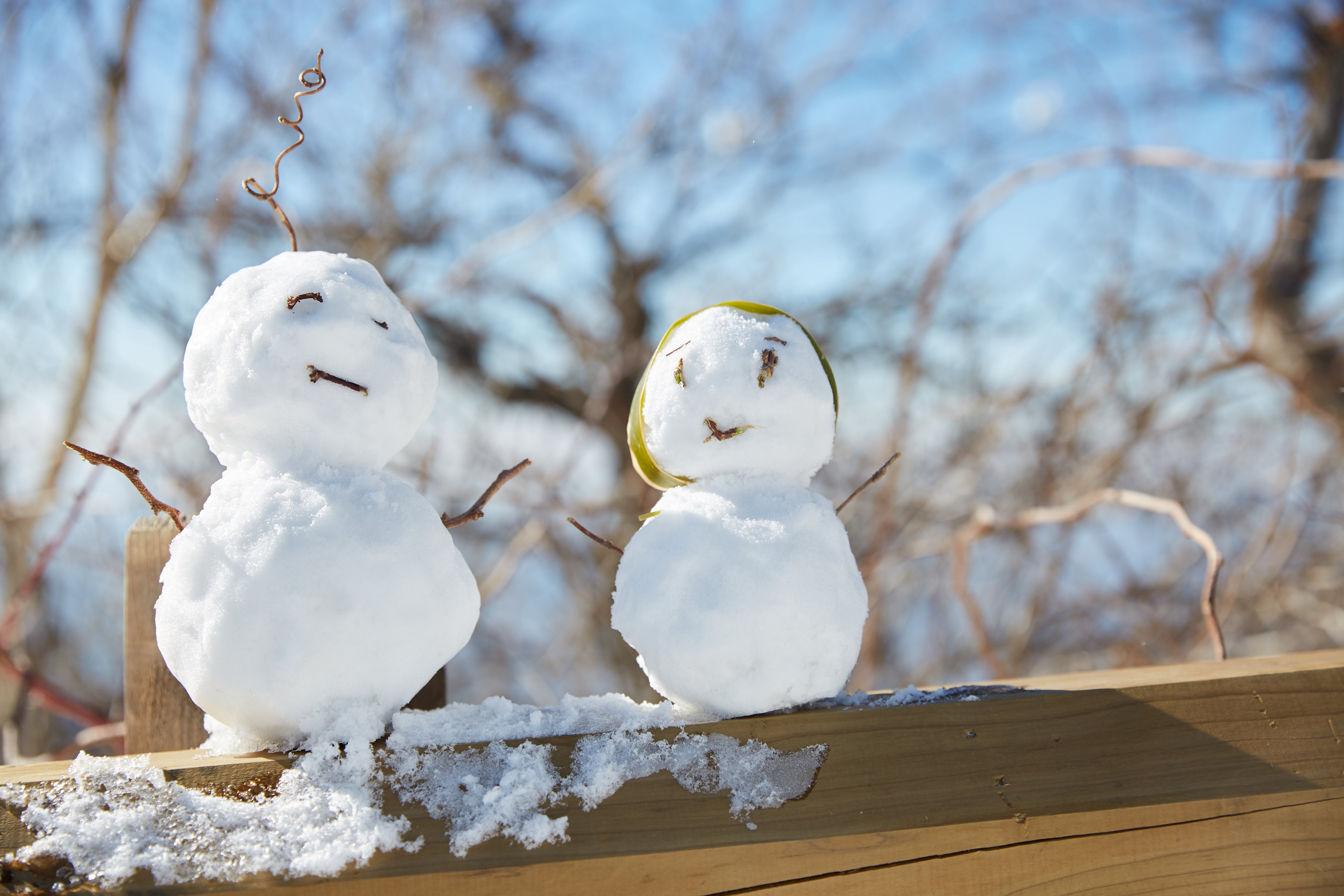 冬至，暖“杨”相伴 | js3333线路检测中心人全力配合各墓园冬至落葬