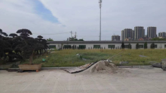 老墓园微改造，助力城市人文关怀