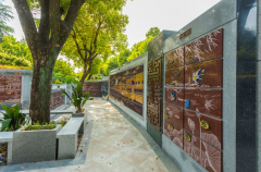 绿色殡葬新风尚：探索葬式多样化的创新之路